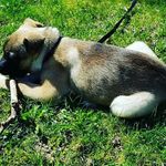 Aaron DeLong - @adelong23456 - Instagram