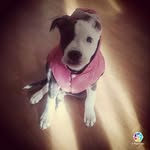aarondelvallerodri - @aarondelvallerodr - Instagram