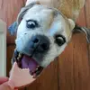 Aaron DeMars - @user102488325399 - TikTok