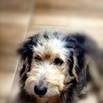 Facu Martinez - @aaron.demello.77 - Instagram