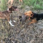 Aaron Demoret - @aarondemoret - Instagram