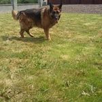 Aaron Denham - @aaron.denham.52 - Instagram