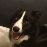 Aaron Derbyshire - @derbyshire222 - Instagram