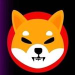 @aaron_de_roon - Instagram