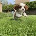 Aaron Depoy - Facebook