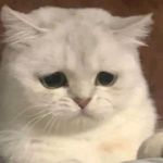 Aaron Devan - @aarondevann - Instagram