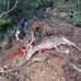 Aaron Devaud - Facebook