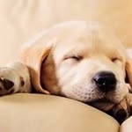 Aaron Devericks - @aaron_devericks.9 - Instagram