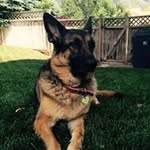Aaron Devers - @adevers1 - Instagram