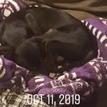 Aaron Devers - @alven_66 - Instagram