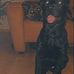 Aaron De Vries - Facebook
