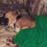Aaron Deweese - @deweese_aaron - Instagram