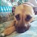 Aaron Deweese - Facebook