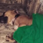 Aaron Deweese - @deweese_aaron - Instagram