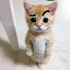 Aarón dice hola - @aaron_dice_hola - TikTok