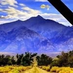 Aaron Dickens - @mojojojo0877 - Instagram