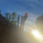 Aaron Dickenson - @dickenson.aaron - Instagram