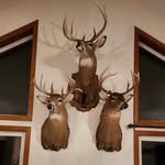 Aaron Diercks - @aarondiercks86 - Instagram