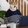 aarondiggins - @aarondiggins - TikTok