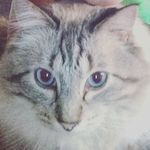 Aaron Dighton - @shadow_1239 - Instagram