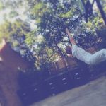 Aaron Dillard - @lilperson68 - Instagram