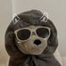 Aaron Demol - Facebook