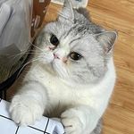 Aaron Dinger - @dinger_aaron - Instagram