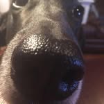 Aaron Dinges - @adingesdsm - Instagram