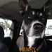 Aaron Dionne - Facebook