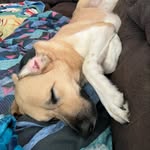 @aarondisneymagic22 - Instagram
