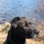 Aaron Doades - @adoades - Instagram