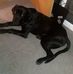 Aaron Dobbie - Facebook