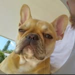 Aaron Dodge - @aaron.dodge.26 - Instagram