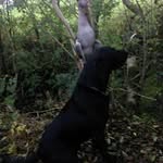 Aaron Doherty - @aarondoherty324 - Instagram