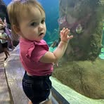 Aaron Dorn - Facebook