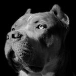 Aaron Dunlap - @aaron.dunlap.104 - Instagram