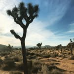 Aaron Eaker - @aaron.eaker - Instagram