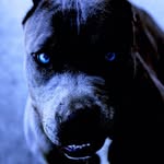 Aaron Earls 6452739 - @aaronearls6452739 - Instagram