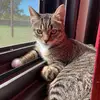 aaronearls653 - @aaronearls653 - TikTok