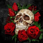 Aaron Earnshaw - @xxspikeskullxx - Instagram