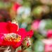 Aaron Ebert - Facebook