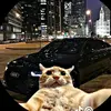 Aaron Staebner - @aaron.staebner - TikTok