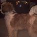 Aaron Ecker - Facebook