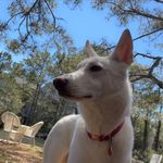Aaron Eckert - @aaron7_eckert14 - Instagram
