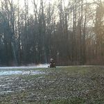 Aaron Eckert - @aaron.eckert.549 - Instagram