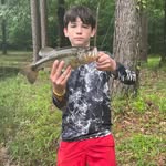 Aaron_Eckert - @blueshirt508 - Instagram