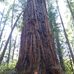 Aaron Eckhoff - Facebook