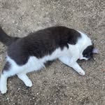 Aaron Wyn Eckley - @aaron.eckley - Instagram
