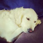 aaron beckman - @aaronbeckman02198r773 - Instagram