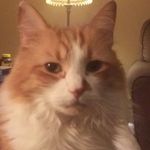 Aaron Eckman - @acelaty1 - Instagram
